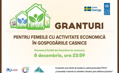 Suedia și PNUD oferă granturi pentru femeile cu activitate economică în gospodăriile casnice
